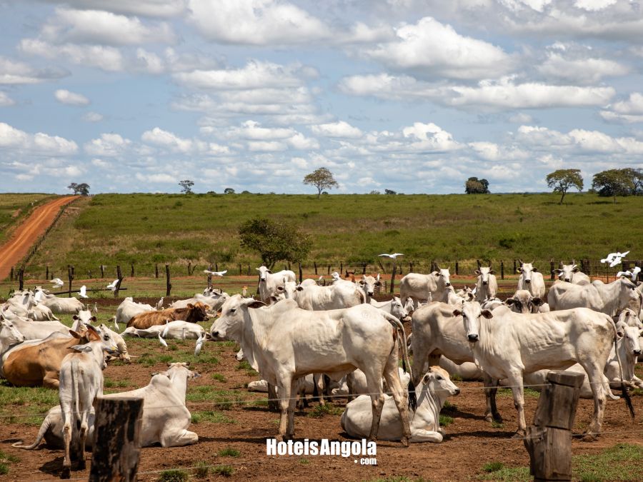 Kahombo Rural - Image 36